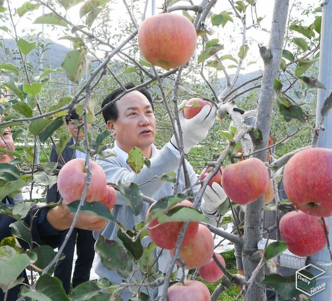 오산시, 자매도시 장수군서 ‘오산시민 장수 사과따기 체험행사’ 성황리 개최