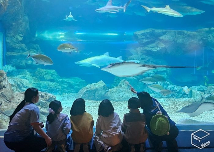 “하루에 바다를 다 체험할지니”수원 E:음 거점형 늘봄센터, 아쿠아플라넷 광교에서 해양생태 탐구 체험 운영