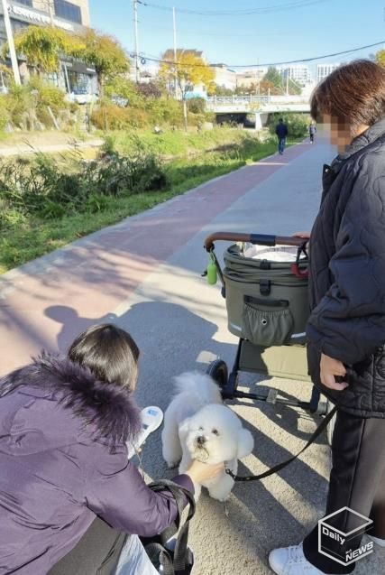 수원시 권선구, 동물등록 집중단속 및 공공장소 지도·단속 실시