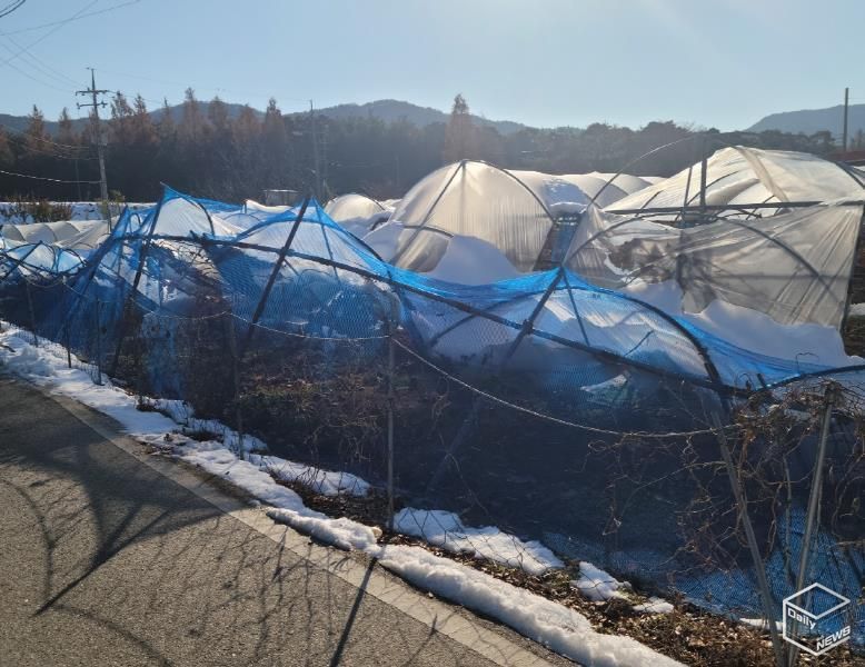 안성시, 올겨울 대설 대비, 차광·방조망 정리로 피해 예방하세요