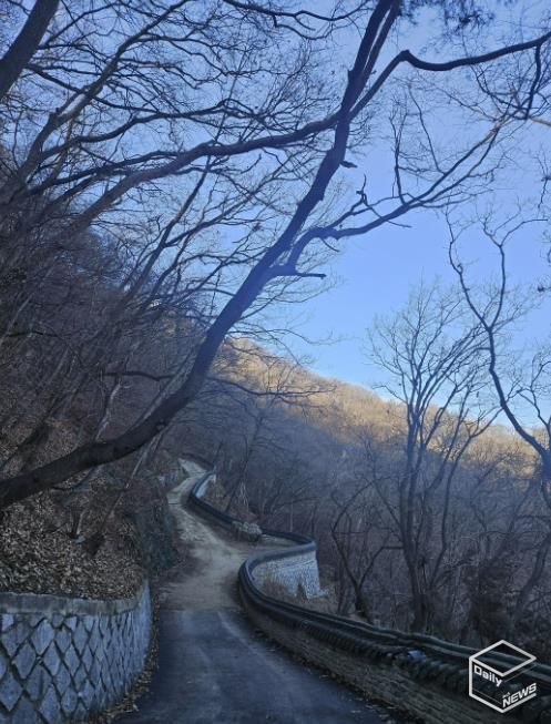 용인특례시가 석성산 숲길 정비사업을 진행한 현장 모습