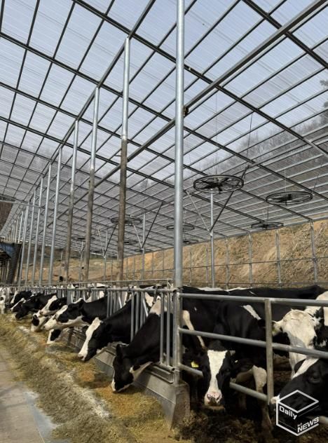 용인트례시가 '2026년 축산분야 생산지원사업' 희망 농가를 모집한다