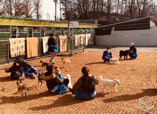 찾아가는 진료활동